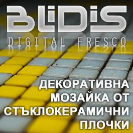 BLiDiS ltd.