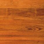 barlinek_039