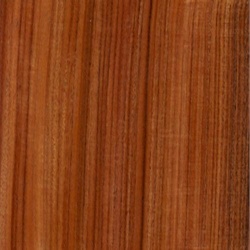plasiandur_wood_001