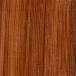 plasiandur_wood_001